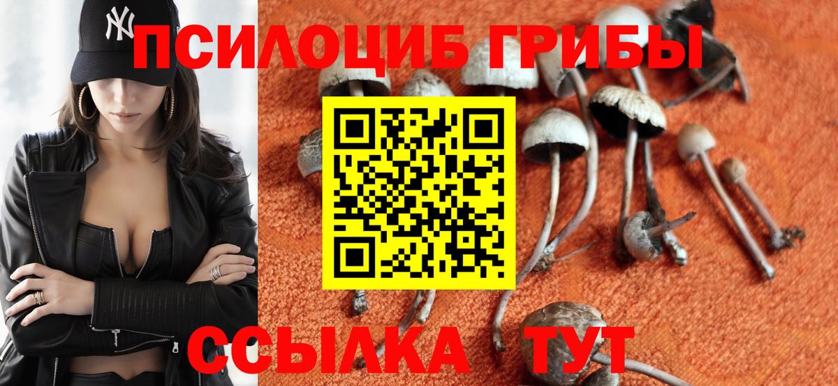 Галлюциногенные грибы мухоморы Донецк