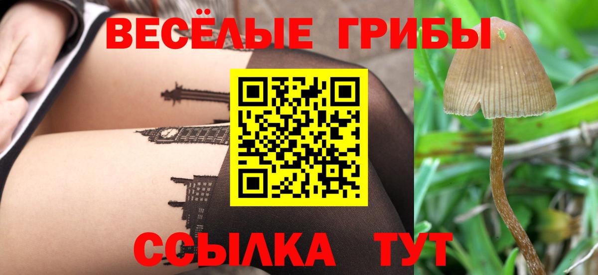 Псилоцибиновые грибы прущие грибы  Вход с VPN  Псилоцибиновые грибы Psilocybine cubensis  Донецк 